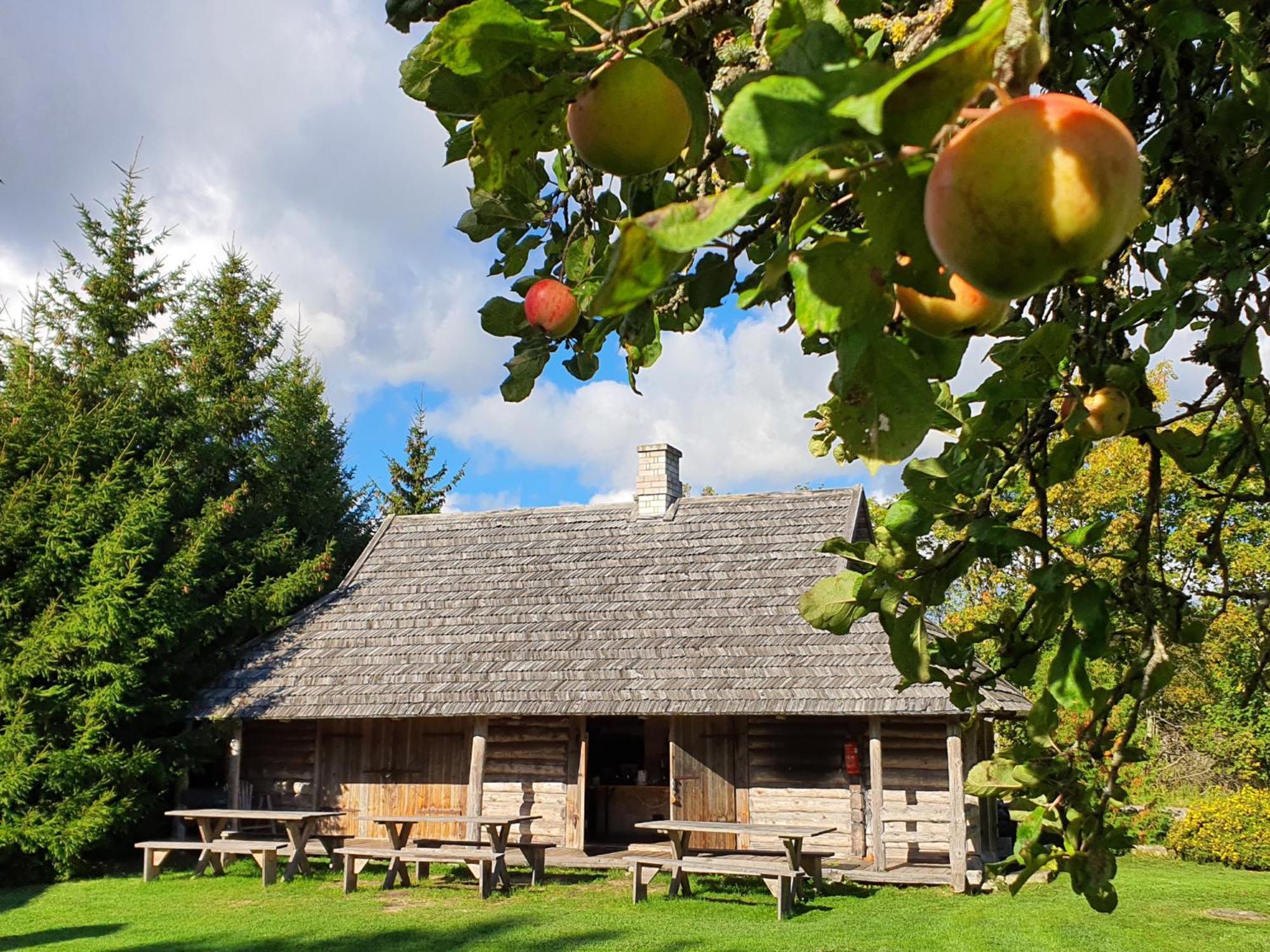 Anni Tourism Farm Villa Tammese Exterior foto